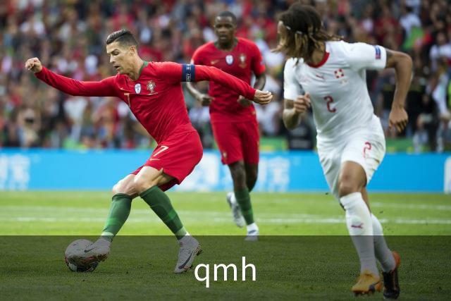 qmh公司介绍